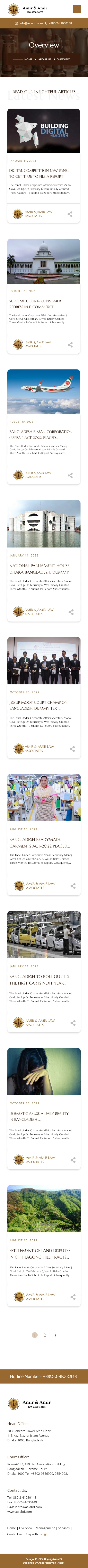Amir & Amir Law Associates: News & insights, mobile website design
