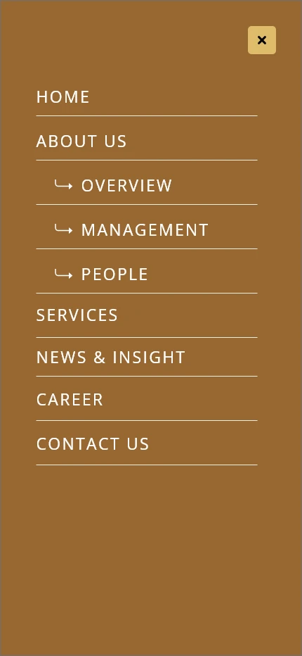 Amir & Amir Law Associates: Expanded mobile navigation, mobile website design